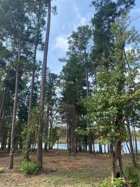 Lot 40 Big Rock Lake Road Property Photo 29
