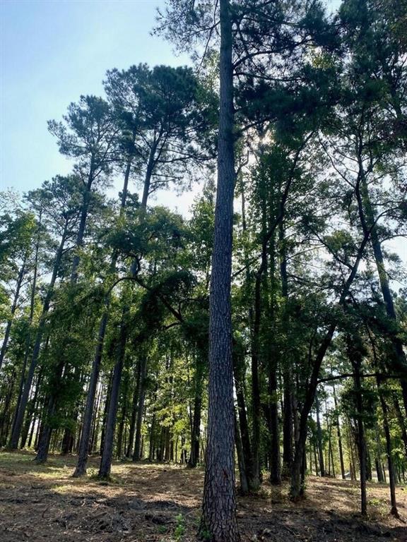 Lot 40 Big Rock Lake Road Property Photo 31