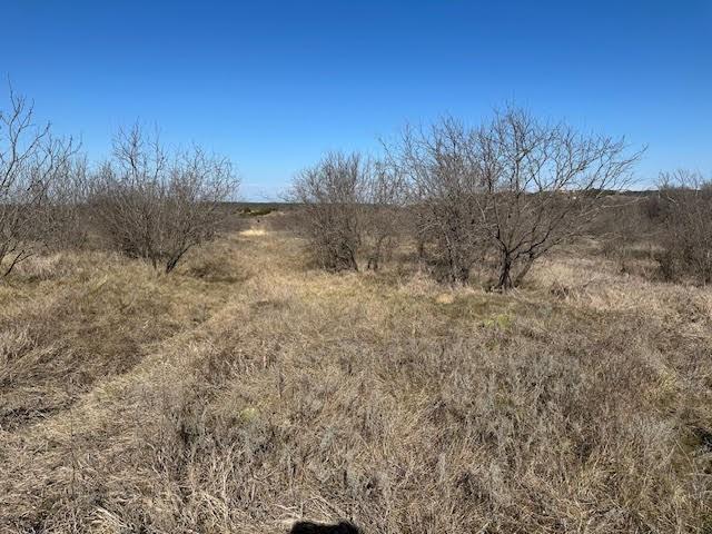 1050 Spotted Owl Court Property Photo 1