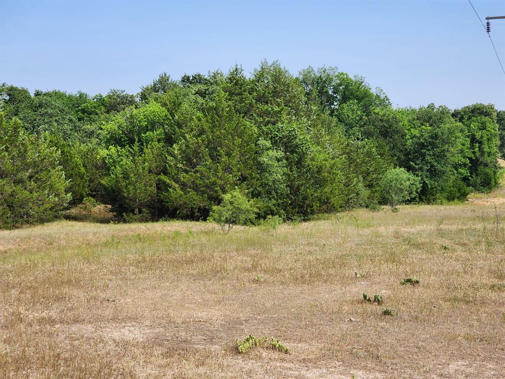000 County Road 1270 Property Photo 2