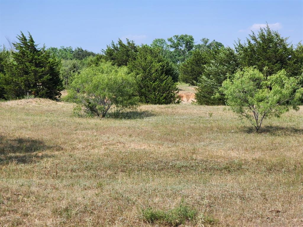 000 County Road 1270 Property Photo 3