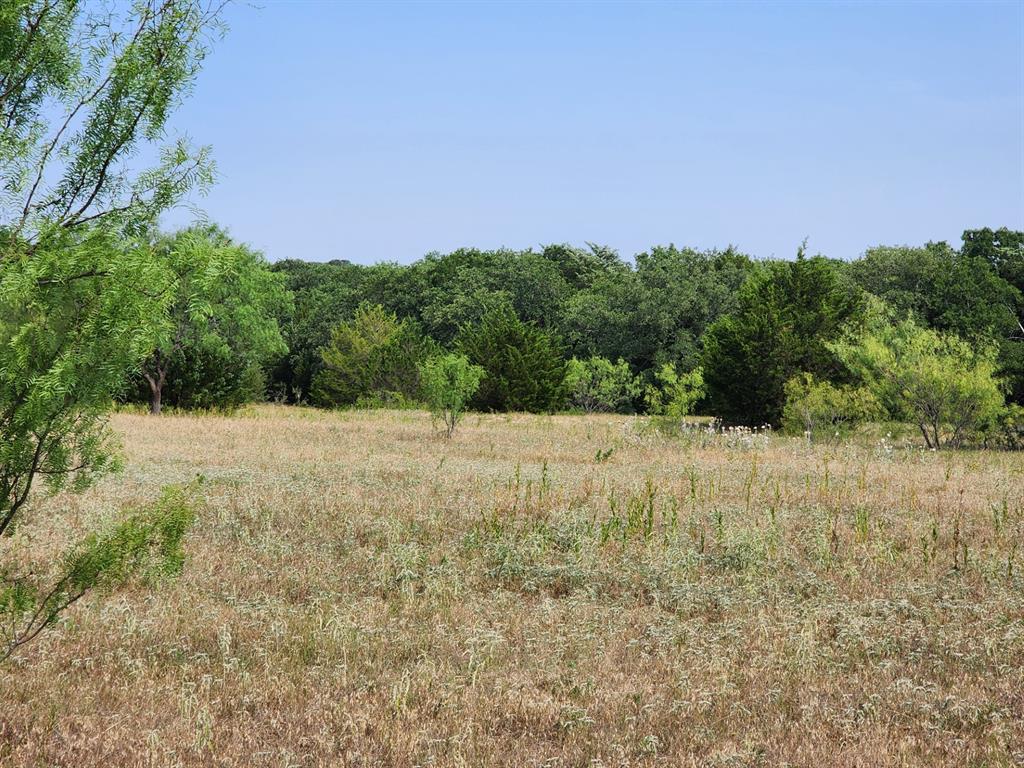 000 County Road 1270 Property Photo 4