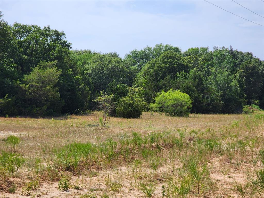 000 County Road 1270 Property Photo 9