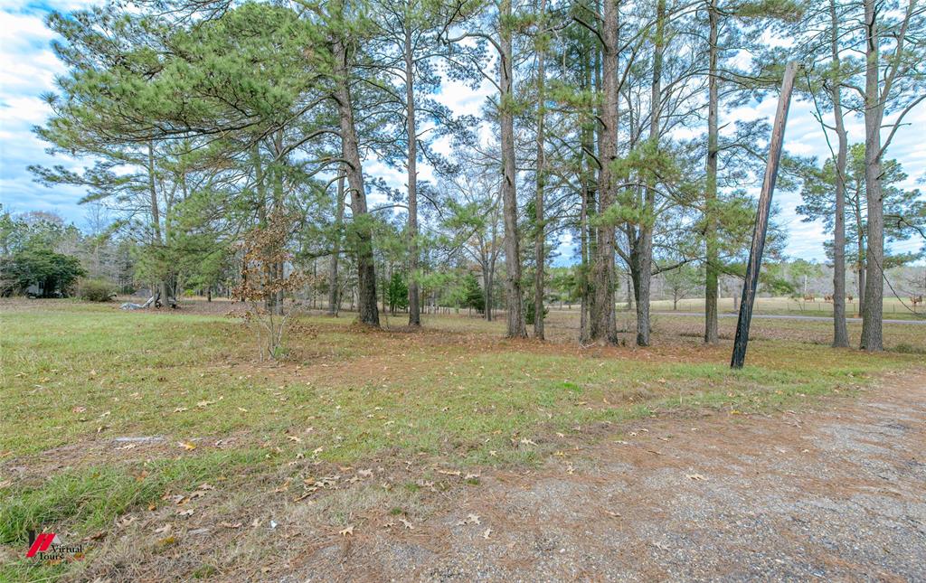179 Daniel Thomas Road Property Photo 23
