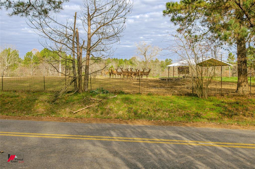 179 Daniel Thomas Road Property Photo 24