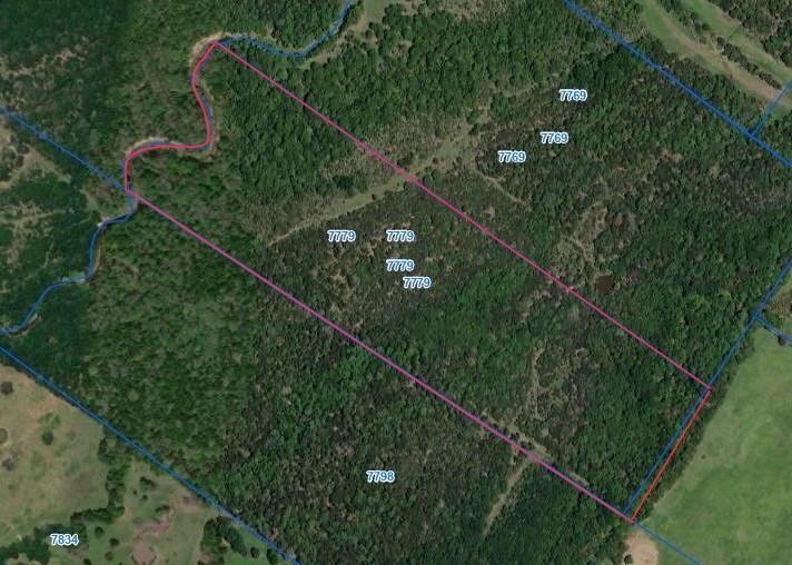Tbd County Road 1053 Property Photo 1