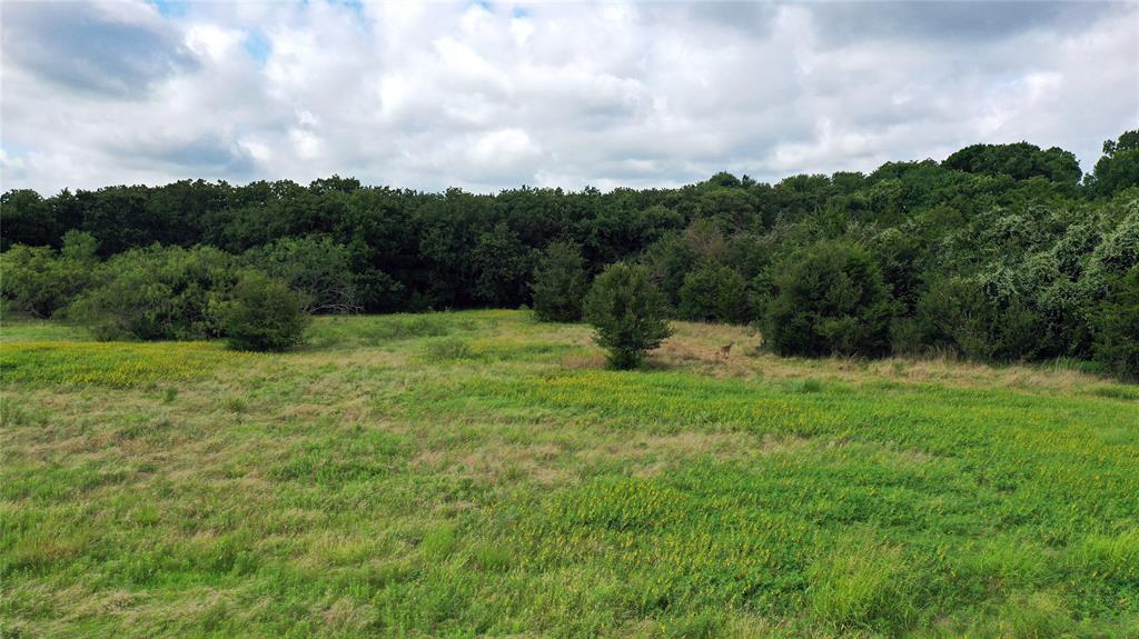1563 Fm 667 Property Photo 7