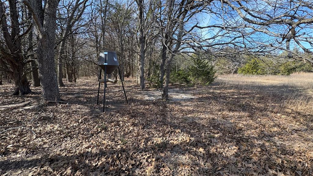 1563 Fm 667 Property Photo 8