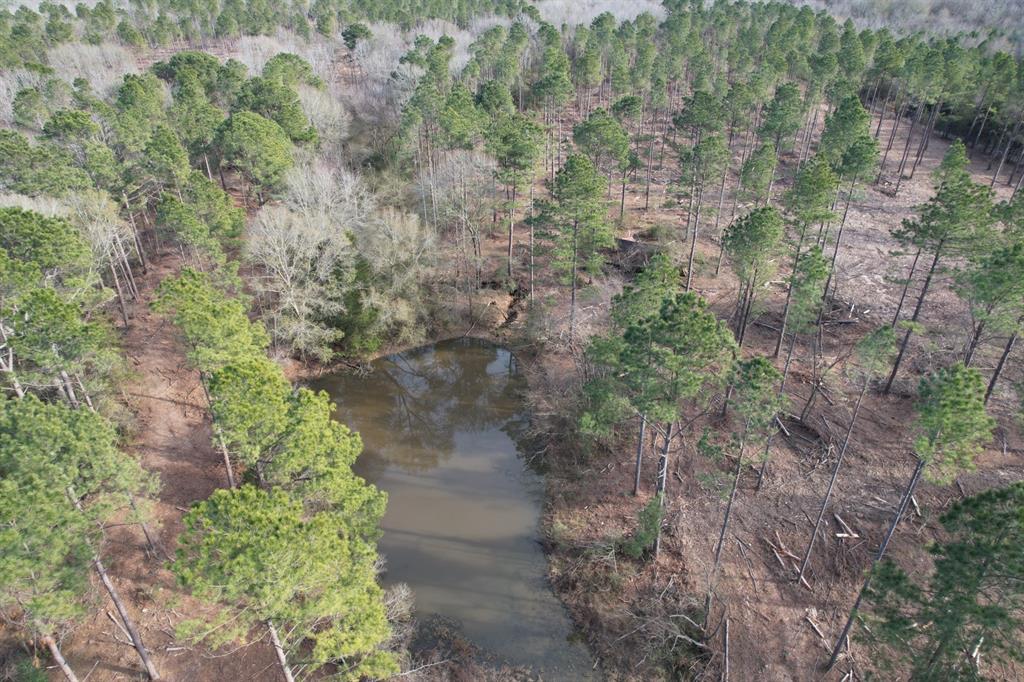Tract A County Road 4037 Property Photo 1