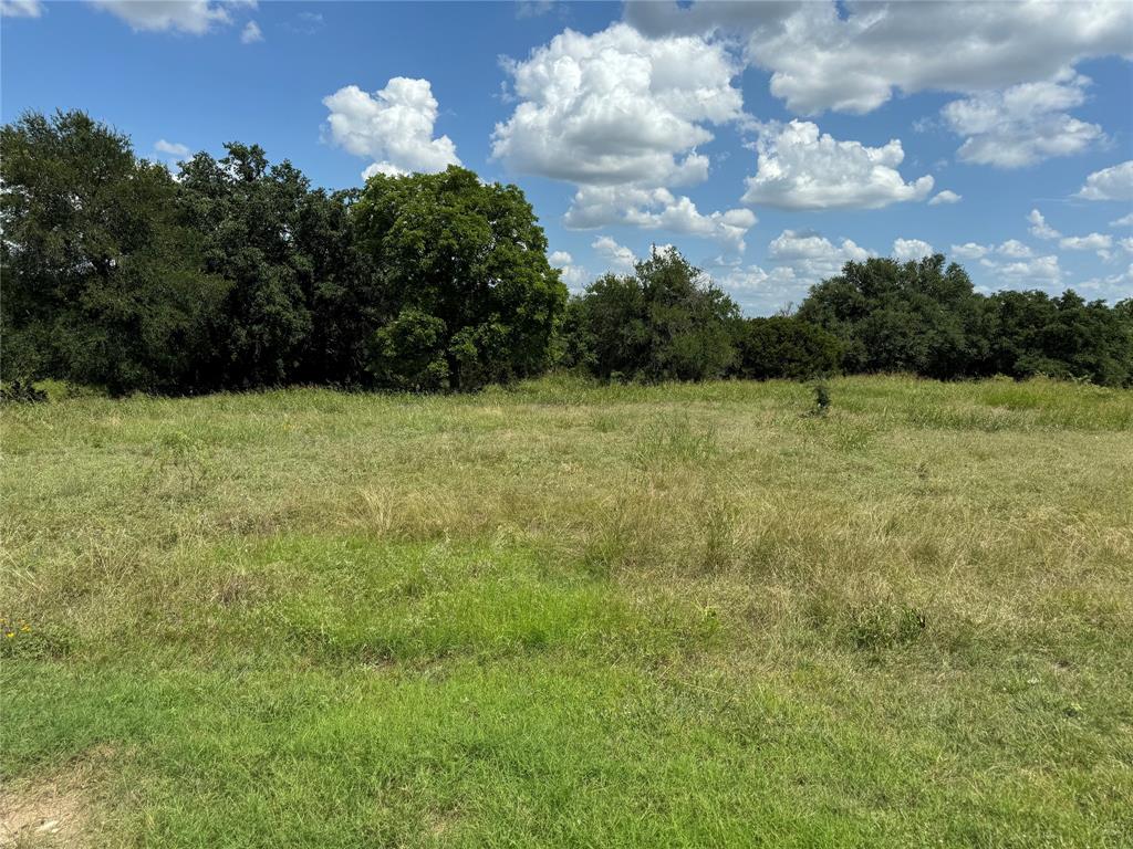 19078 White Bluff Drive Property Photo 2