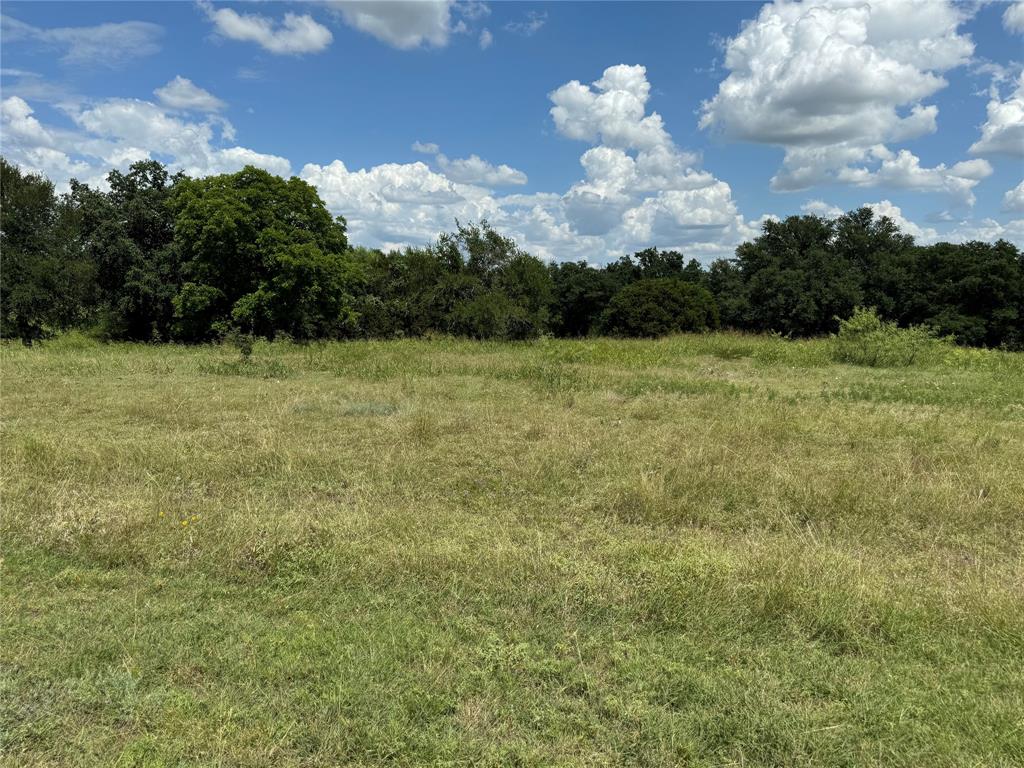 19078 White Bluff Drive Property Photo 3