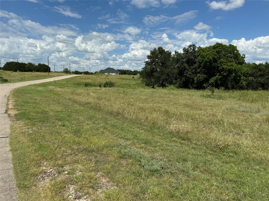 19078 White Bluff Drive Property Photo 5