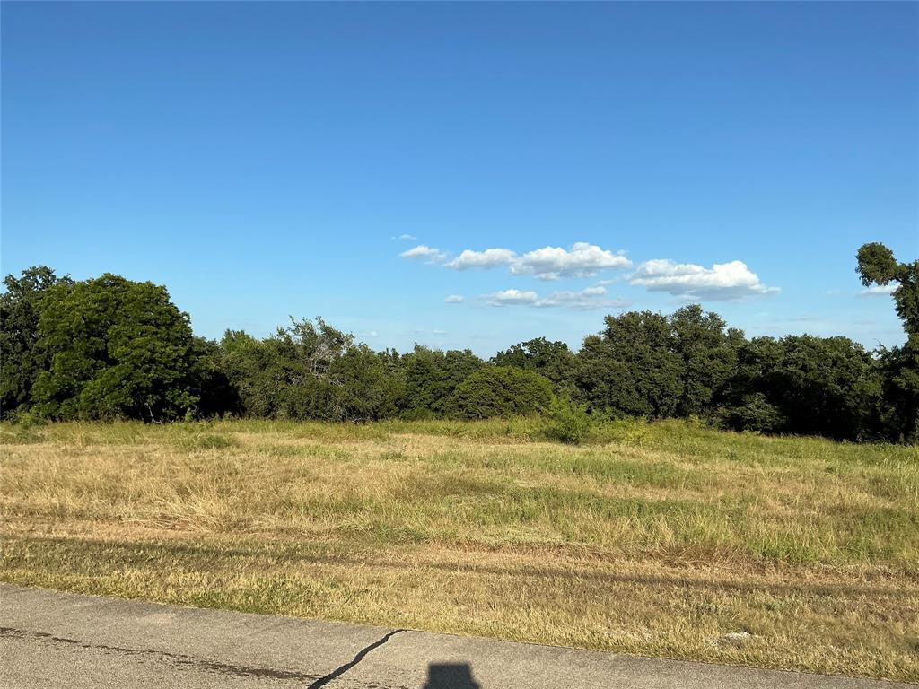 19078 White Bluff Drive Property Photo 6