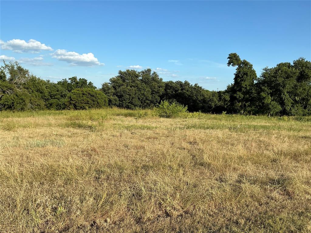 19078 White Bluff Drive Property Photo 7