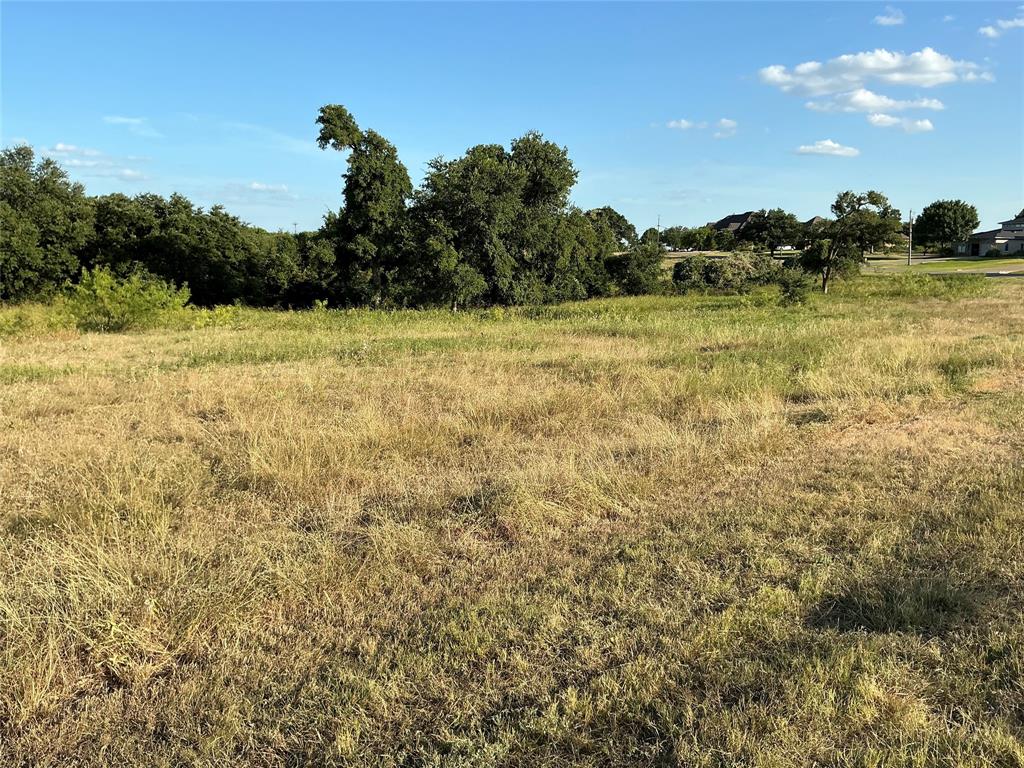 19078 White Bluff Drive Property Photo 8