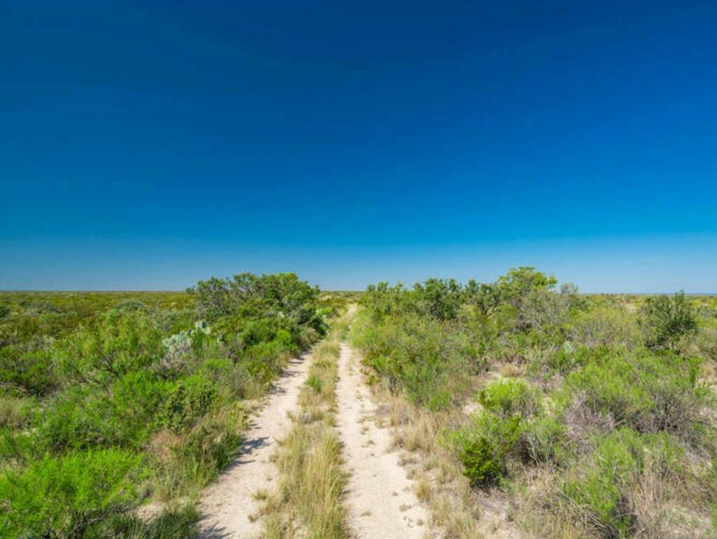 Tract 26 Us-90 Property Photo 5