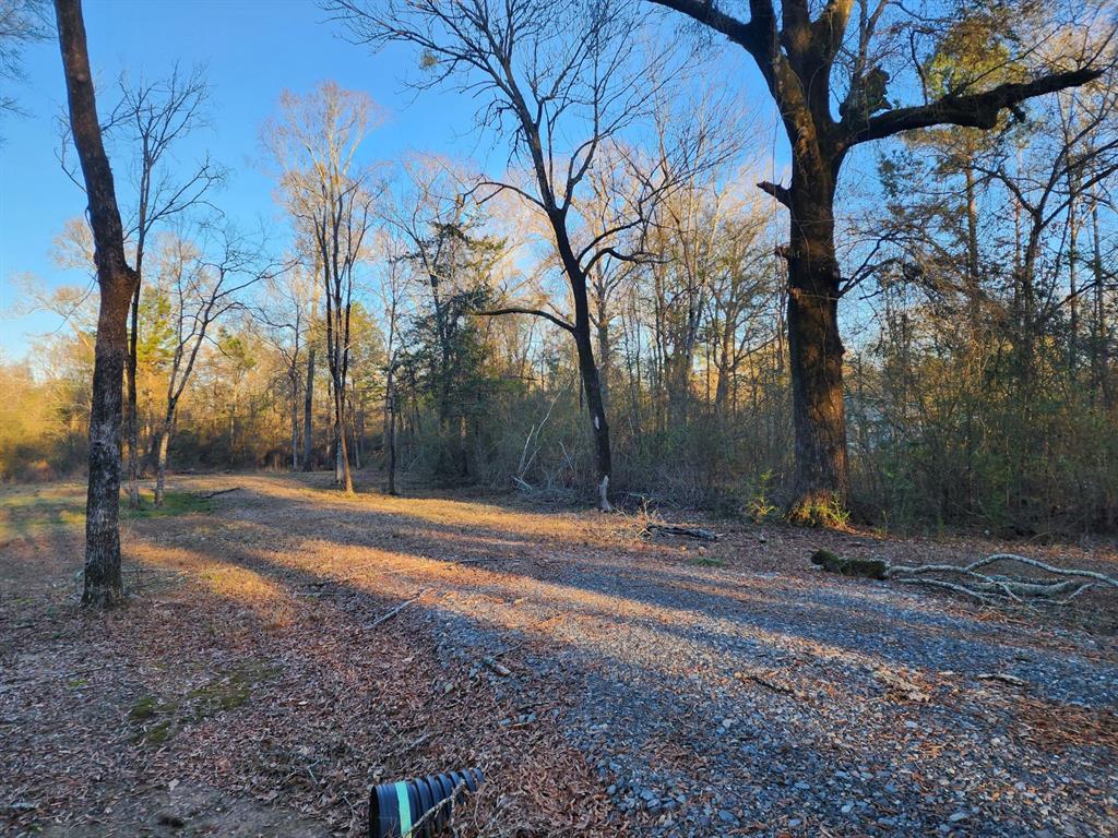 0 Caddo Lake Property Photo