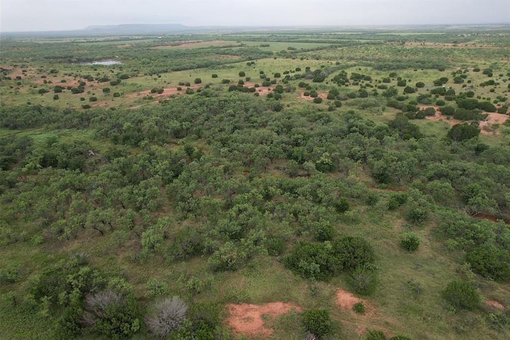 Tbd County Road 175 Property Photo 1