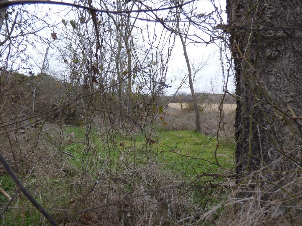 Tbd County Road 261 Property Photo