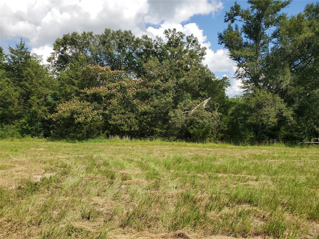 LOT 8 RS County Road 1140