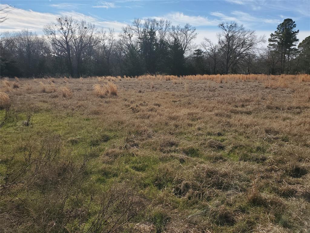 Lot 8 Rs County Road 1140 Property Photo 4