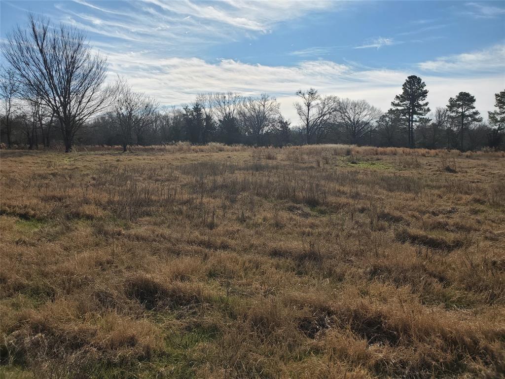 Lot 8 Rs County Road 1140 Property Photo 5