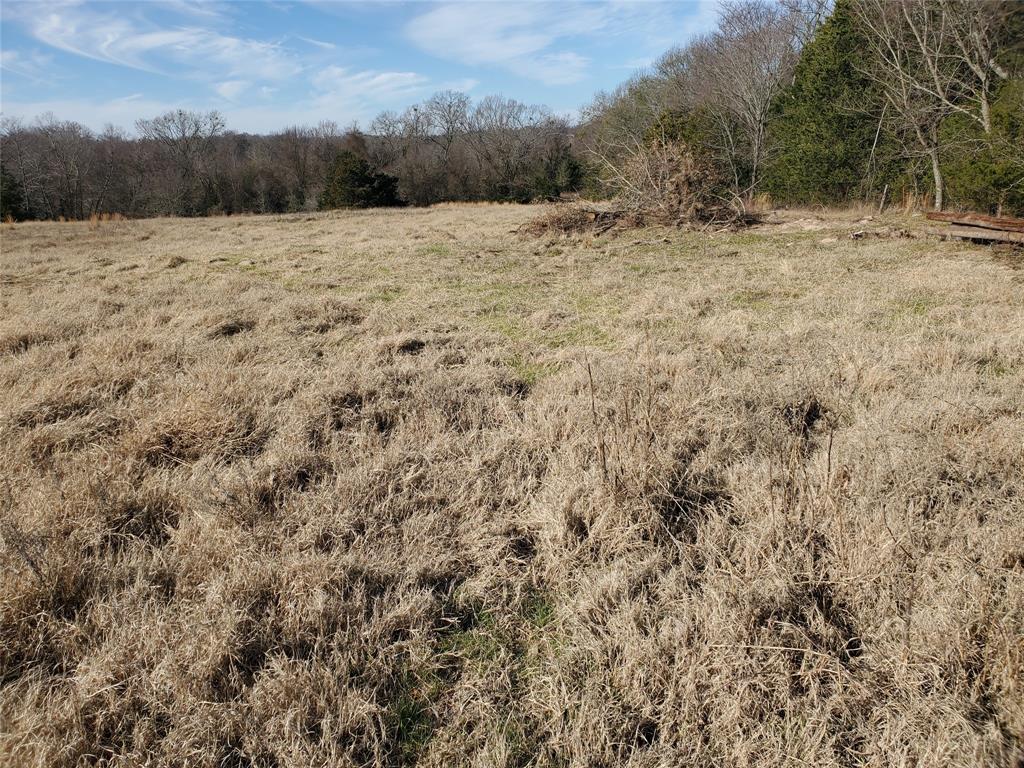 Lot 8 Rs County Road 1140 Property Photo 6
