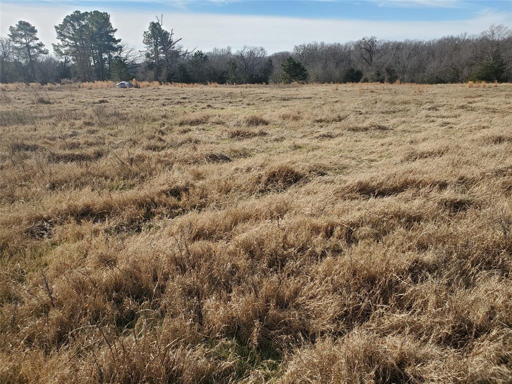 Lot 8 Rs County Road 1140 Property Photo 7