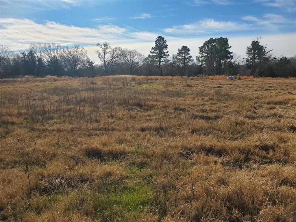 Lot 8 Rs County Road 1140 Property Photo 8