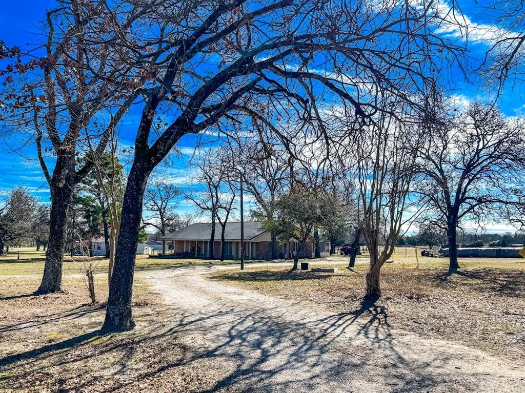 1249 Us Highway 84 Property Photo