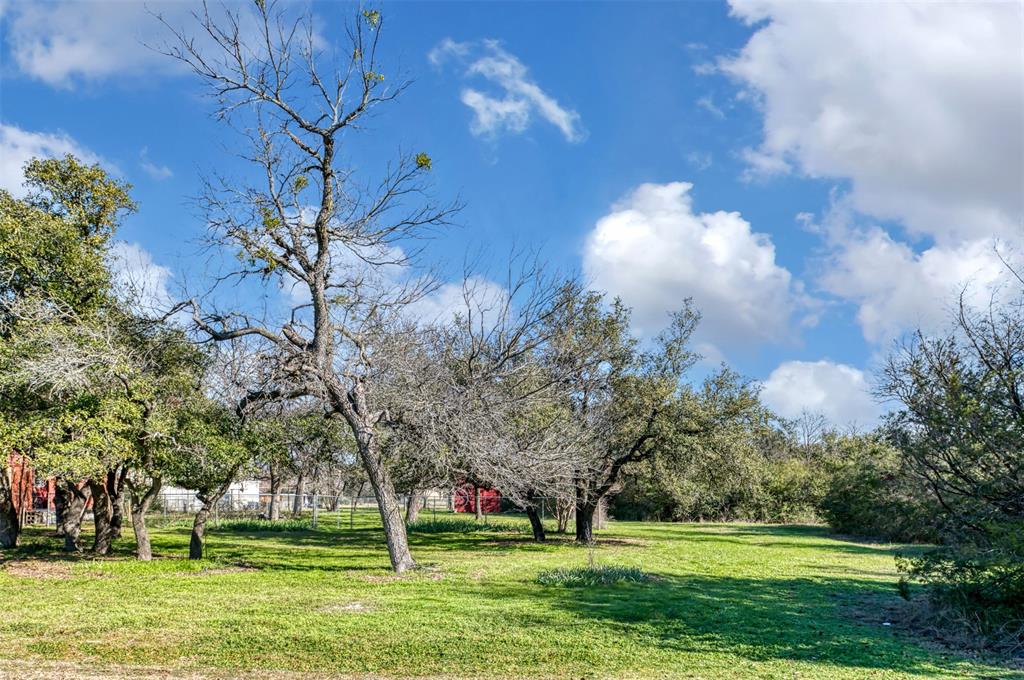 103 Live Oak Road Property Photo 37