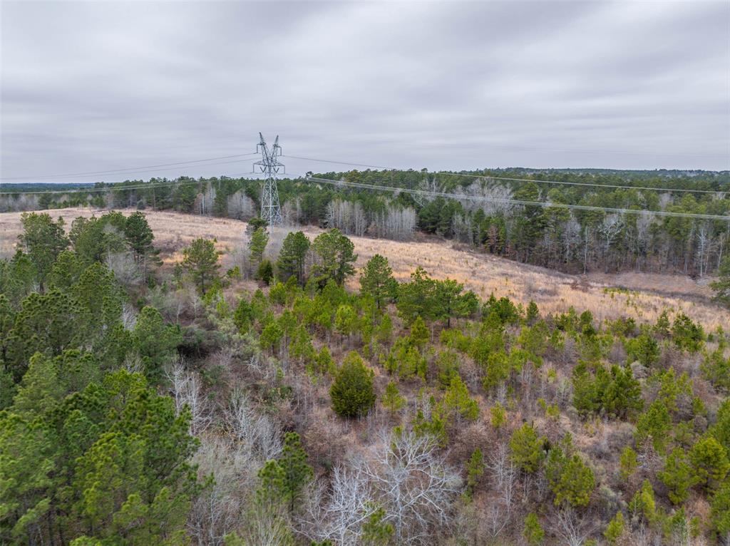 0 County Road 4243d Property Photo 11