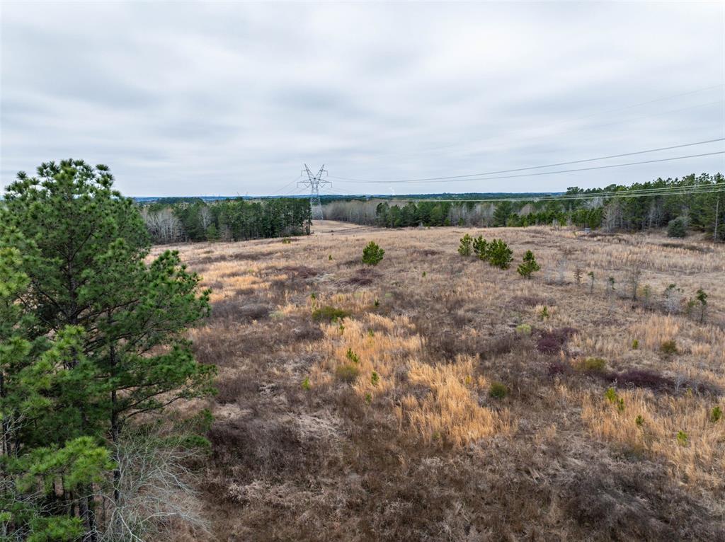 0 County Road 4243d Property Photo 13