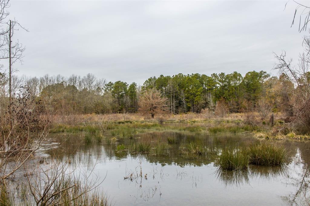 0 County Road 4243d Property Photo 17
