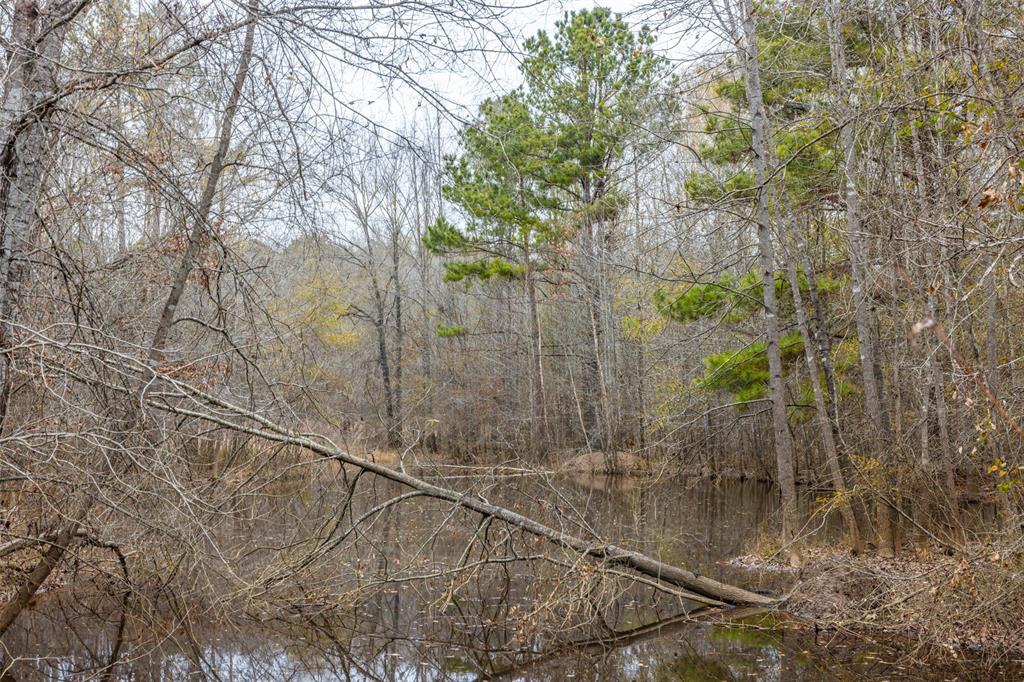 0 County Road 4243d Property Photo 18