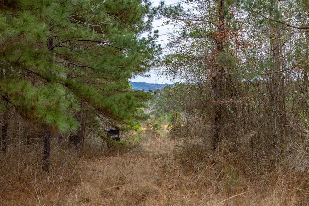 0 County Road 4243d Property Photo 20
