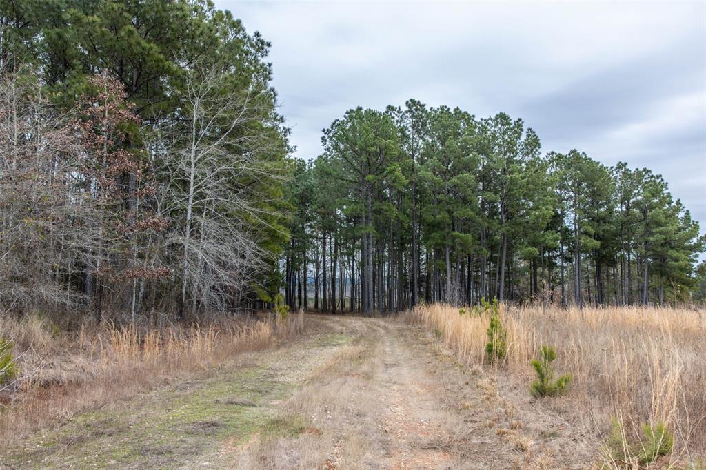 0 County Road 4243d Property Photo 21