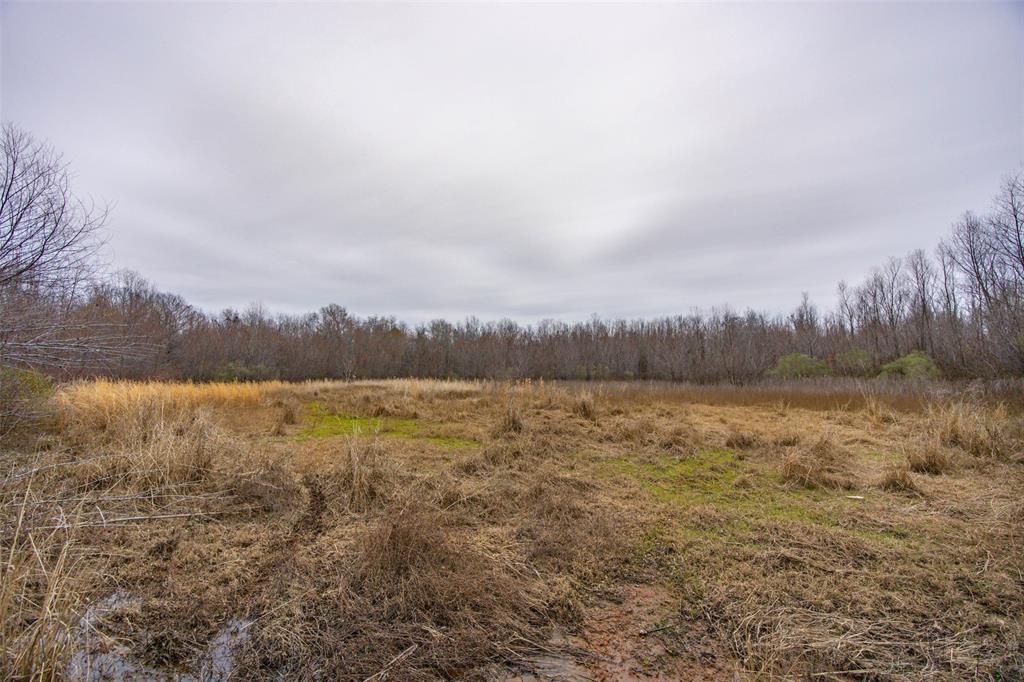 0 County Road 4243d Property Photo 22