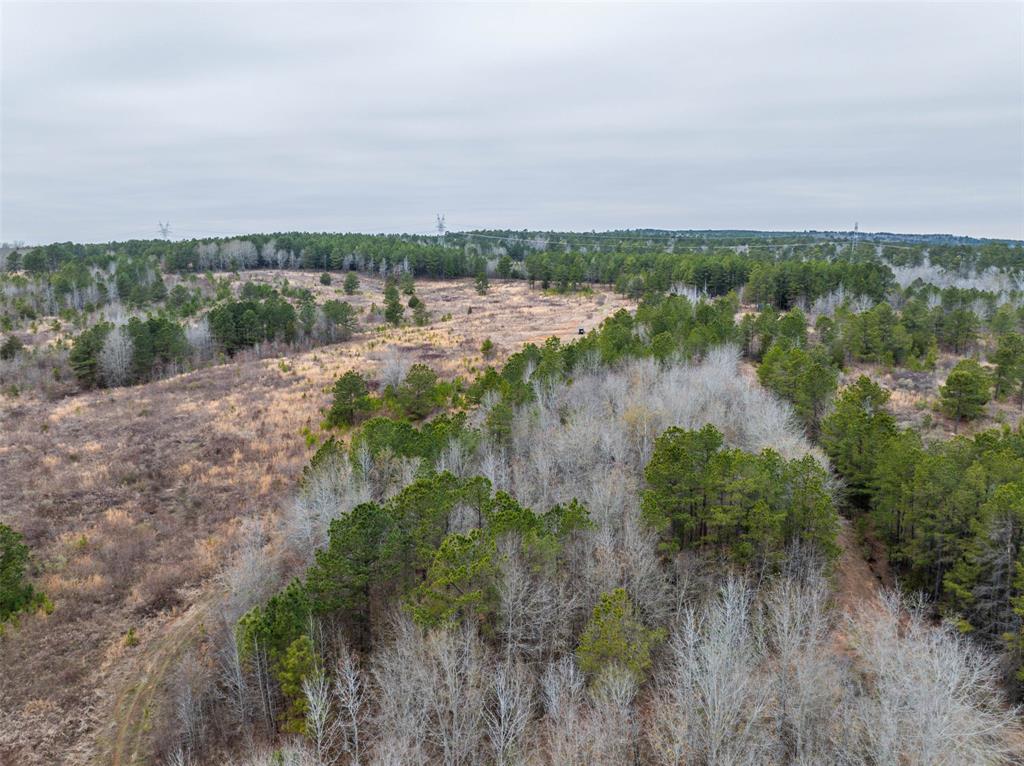 0 County Road 4243d Property Photo 24