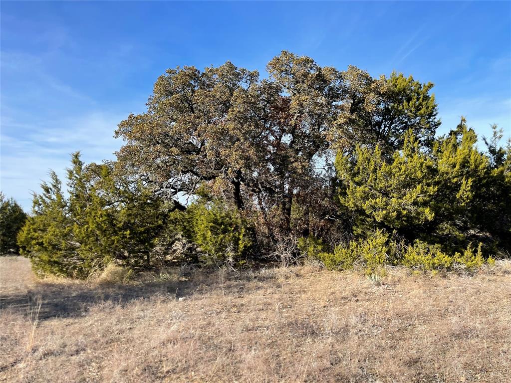 4986 County Road 607 Property Photo