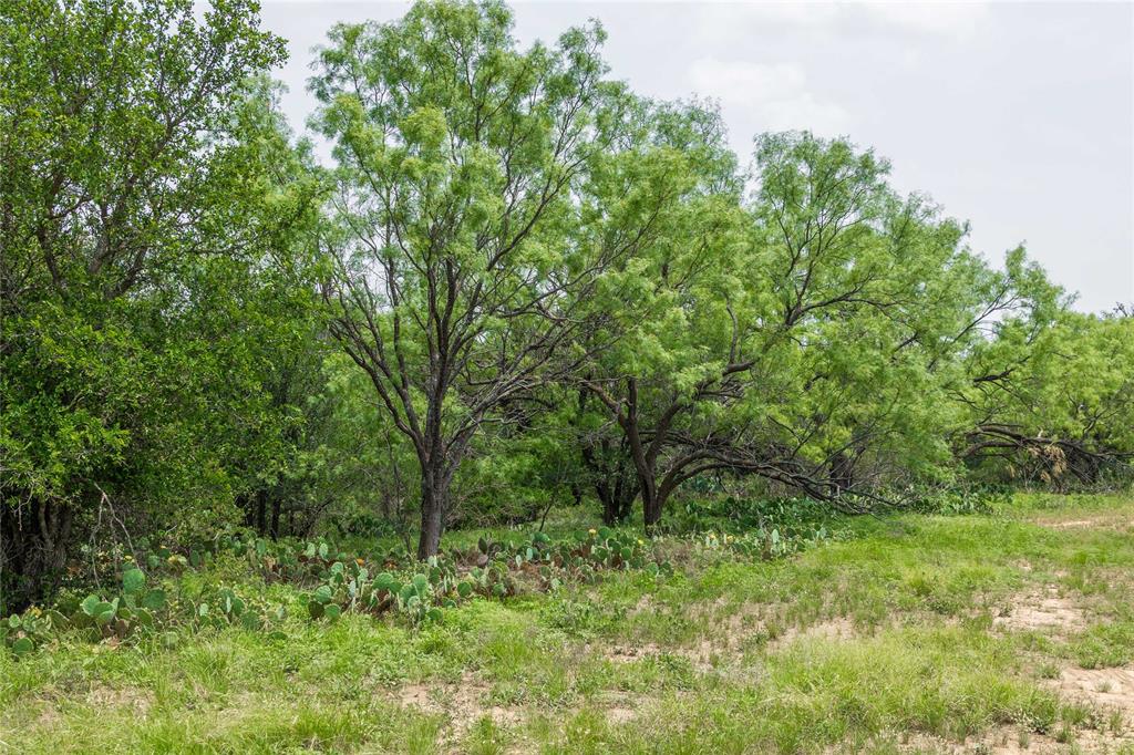 13601 Highway 377 Property Photo 30
