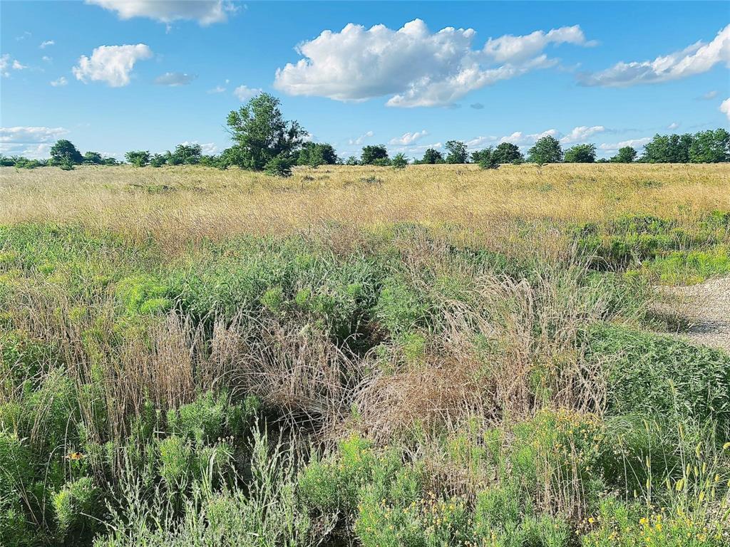 Lot 11 Ridgeway Ranches Property Photo