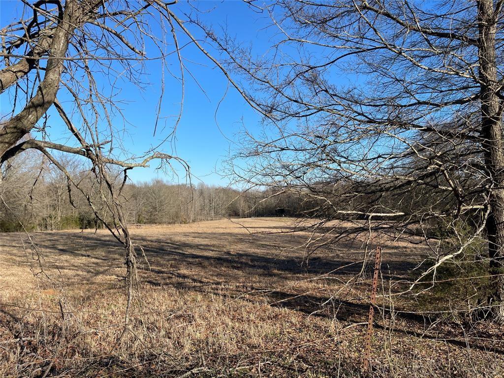 000 County Road 2431 Property Photo