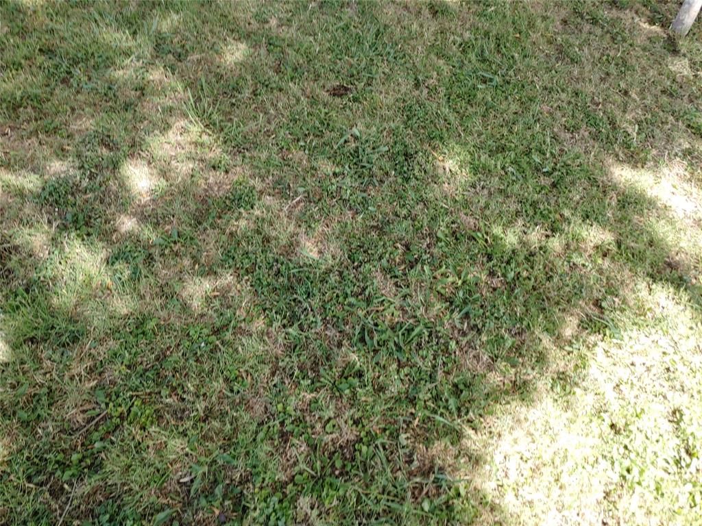 2719 Meyersville Property Photo 3