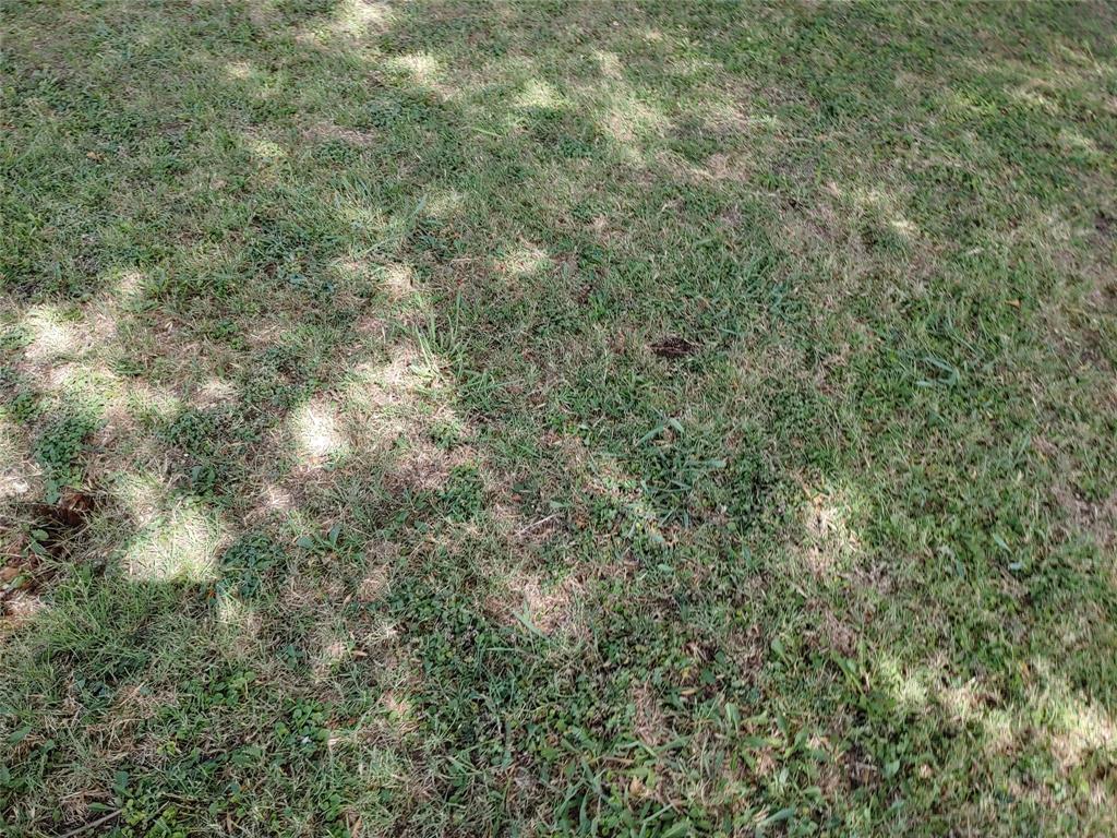 2723 Meyersville Property Photo 4