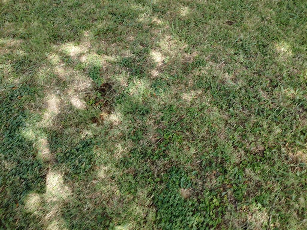 2729 Meyersville Property Photo 2