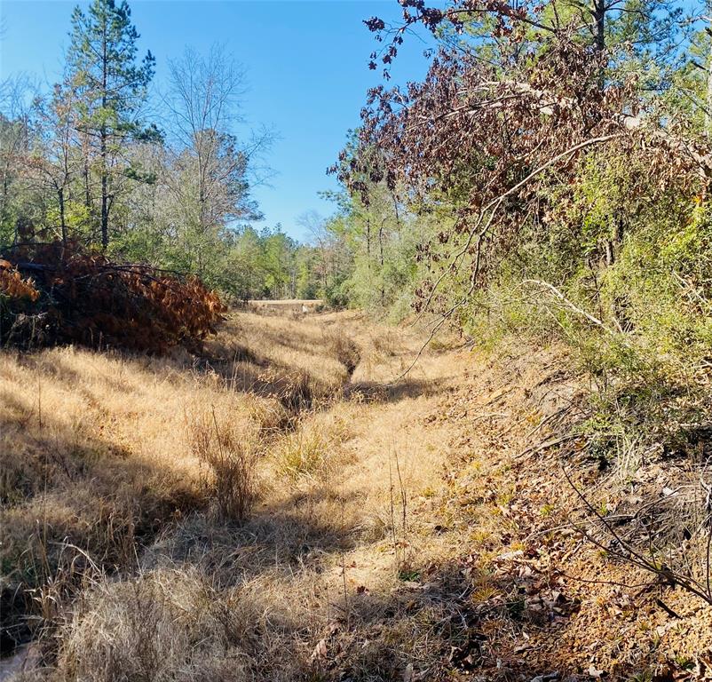 15396 Forest Grove Drive Property Photo 7