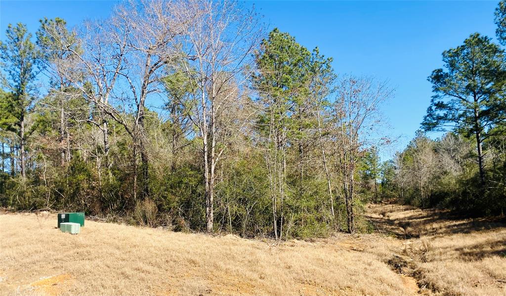 15396 Forest Grove Drive Property Photo 8