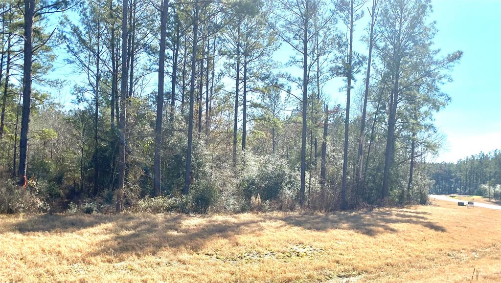 15396 Forest Grove Drive Property Photo 9