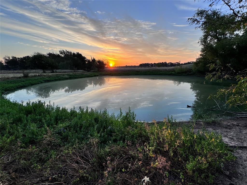16109 Fm 2159 Property Photo